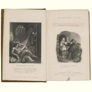 auction-shelley-frankenstein-122009